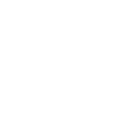 reporter